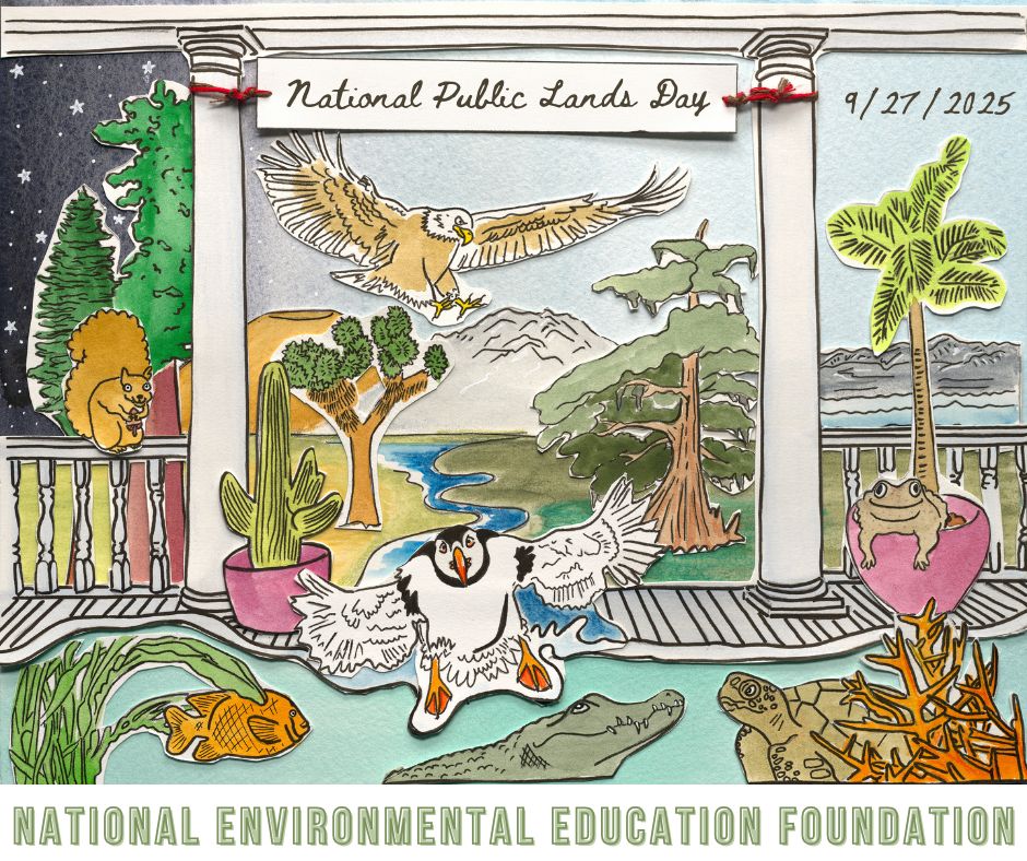 NPLD Promotional Toolkit | The National Environmental Education